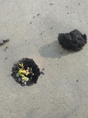 Прикрепленное изображение: IMG_20210428_180137.jpg